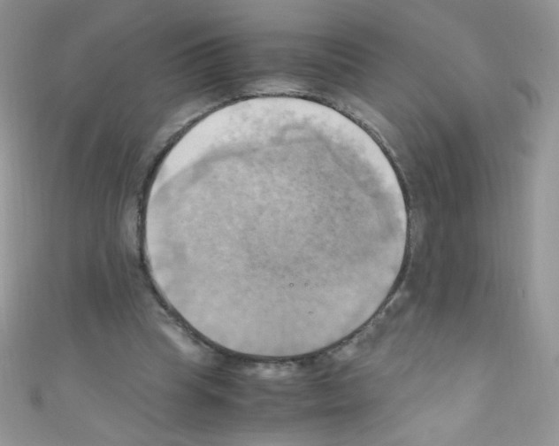 X0000110730345200907241232