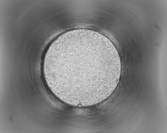 X0000110730346200907241232