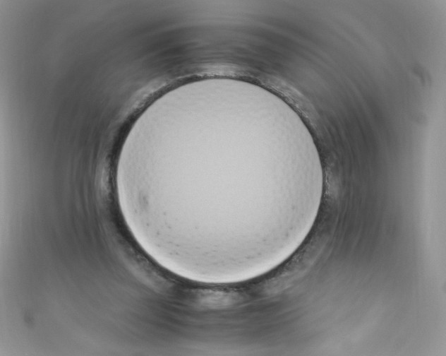 X0000110730347200907241232