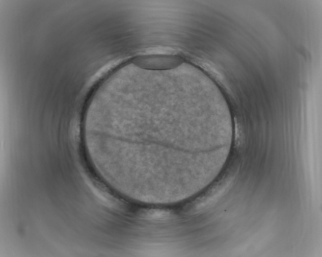 X0000110730348200907241232