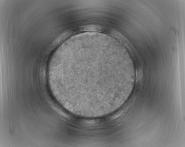 X0000110730349200907241232
