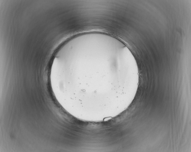 X0000110730350200907241232