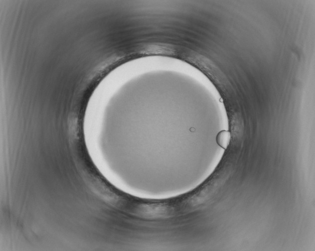 X0000110730351200907241232