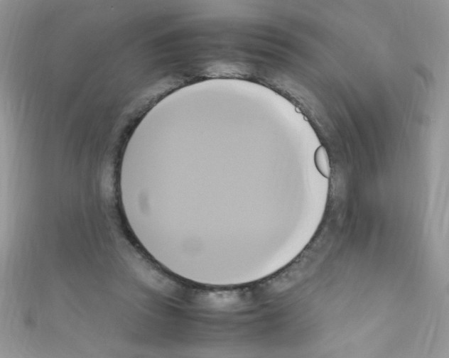 X0000110730353200907241232