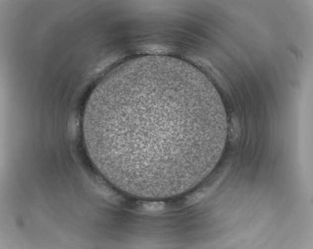 X0000110730355200907241232