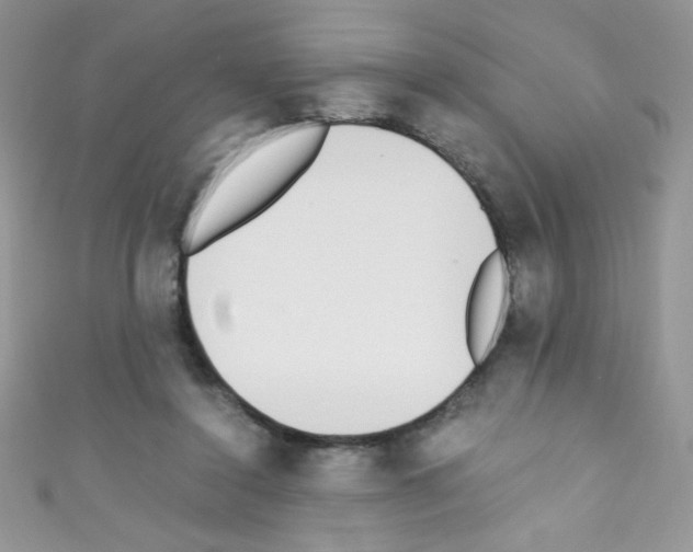 X0000110730356200907241232