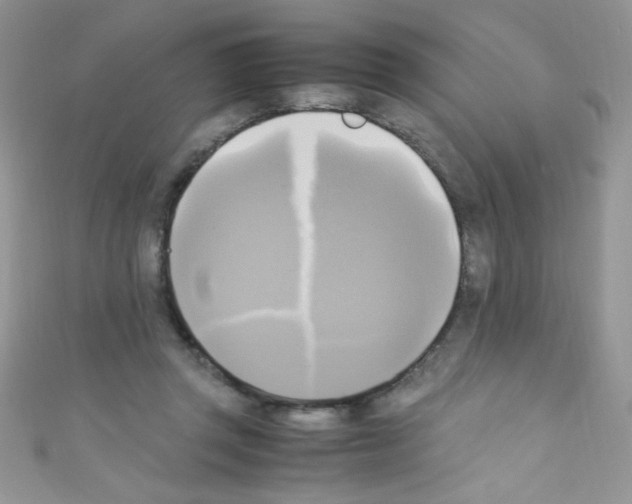 X0000110730357200907241232