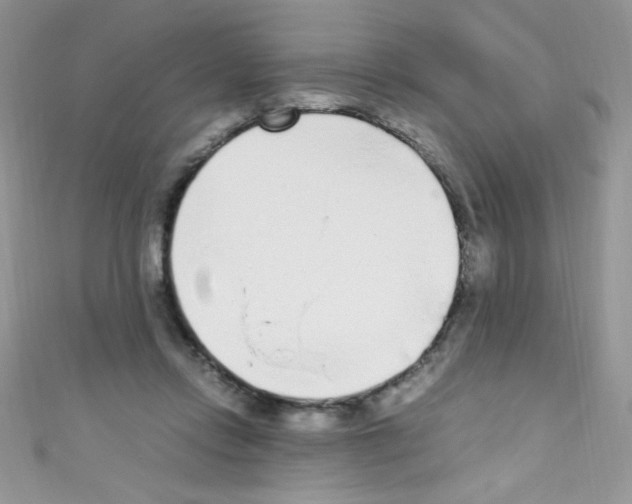 X0000110730358200907241232