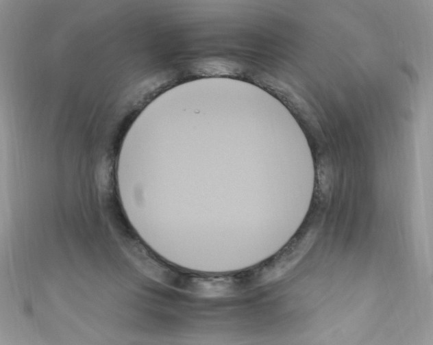 X0000110730359200907241232