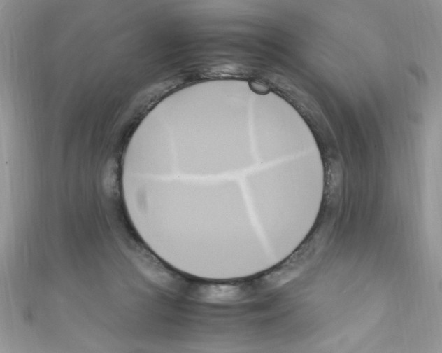 X0000110730361200907241232