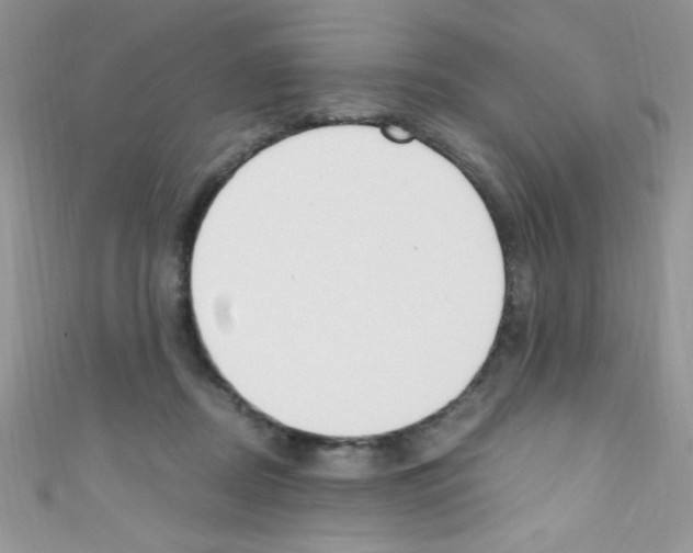 X0000110730362200907241232