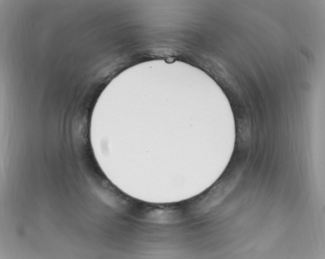 X0000110730364200907241232