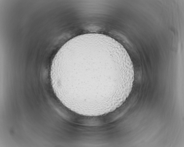 X0000110730365200907241232