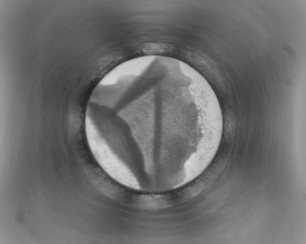 X0000110730367200907241232