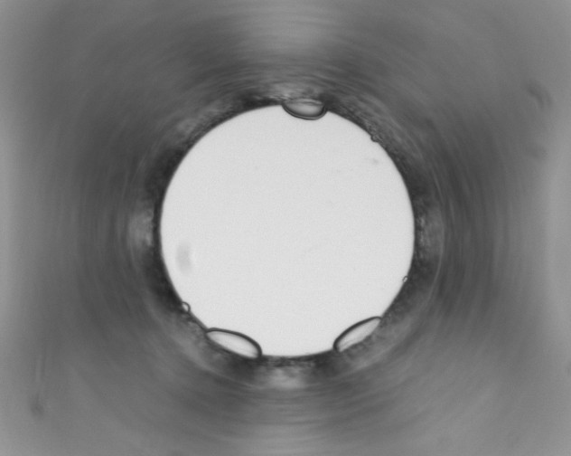 X0000110730368200907241232
