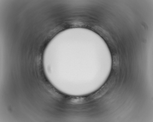 X0000110730369200907241232