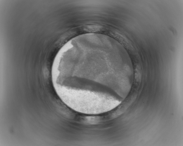X0000110730371200907241232