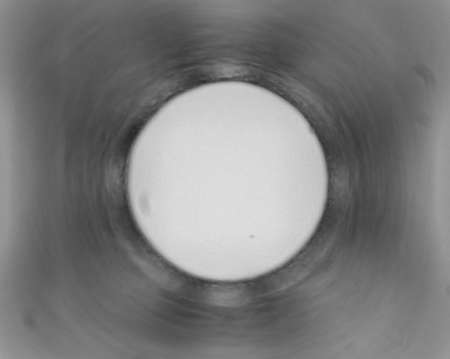 X0000110730373200907241232