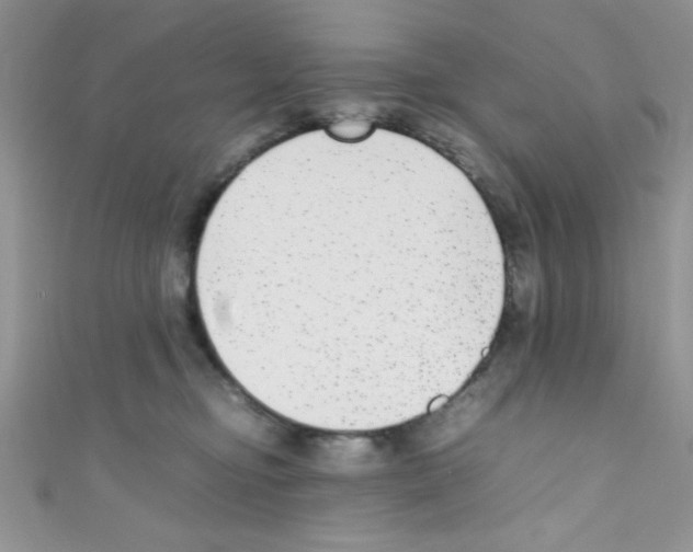 X0000110730374200907241232