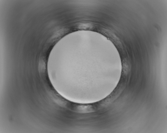 X0000110730375200907241232