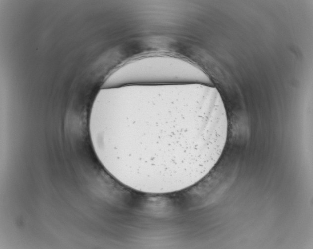 X0000110730376200907241232