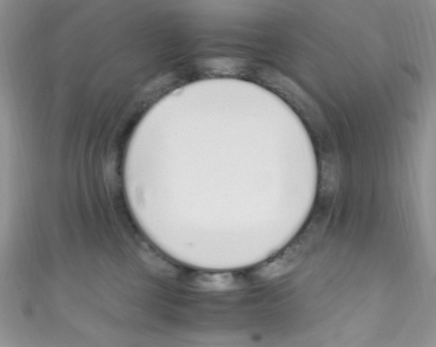 X0000110730377200907241232