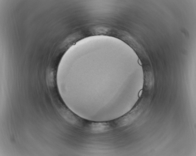 X0000110730378200907241232