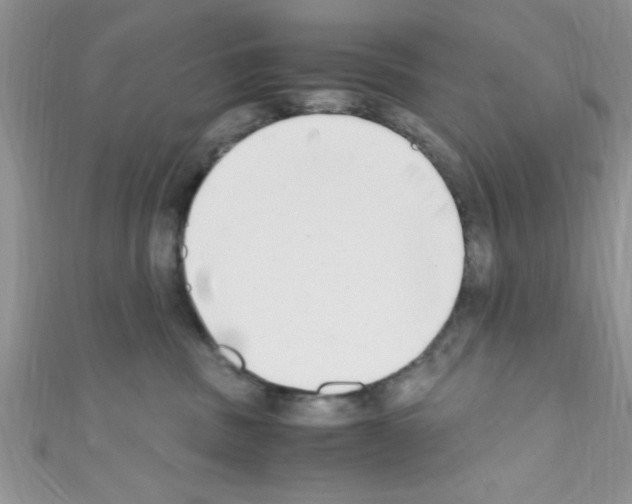 X0000110730379200907241232