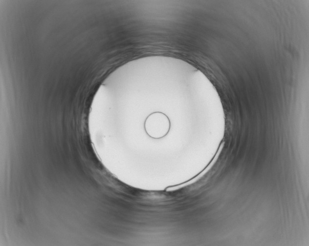 X0000110730380200907241232
