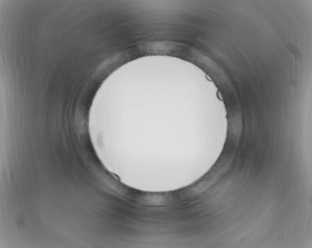 X0000110730381200907241232