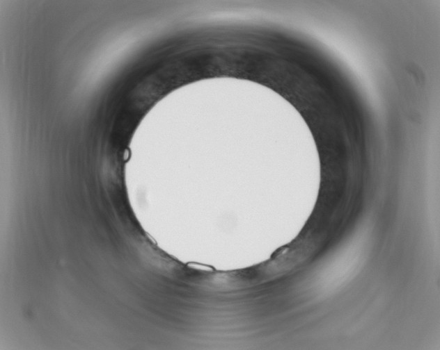 X0000110730382200907241232