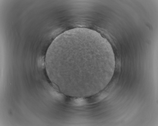 X0000110730383200907241232