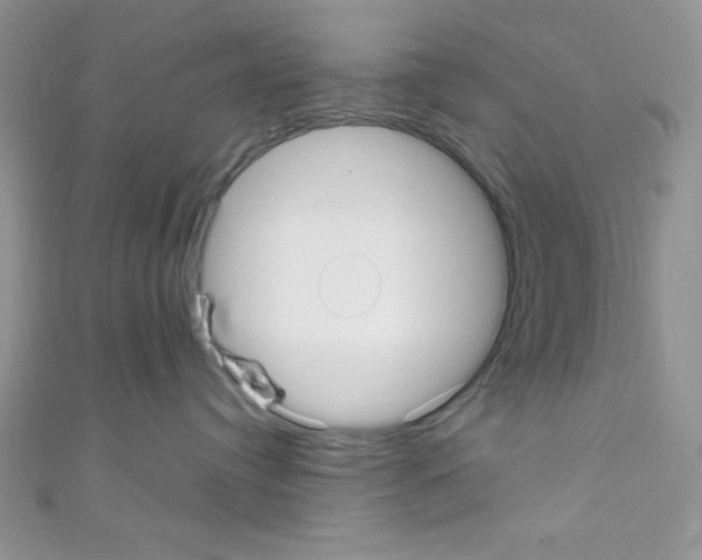 X0000110730384200907241232
