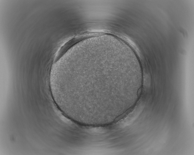 X0000110730385200907241231