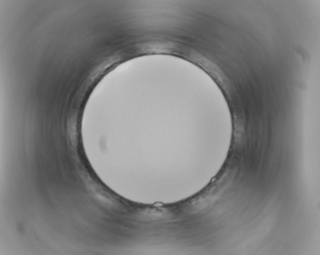 X0000110730386200907241231