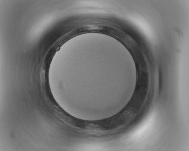 X0000110730387200907241231