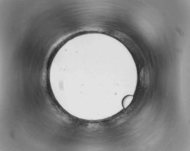 X0000110730388200907241231