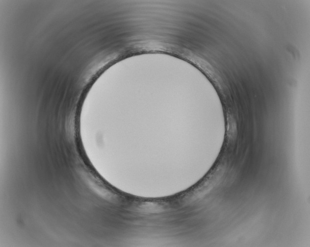 X0000110730390200907241231