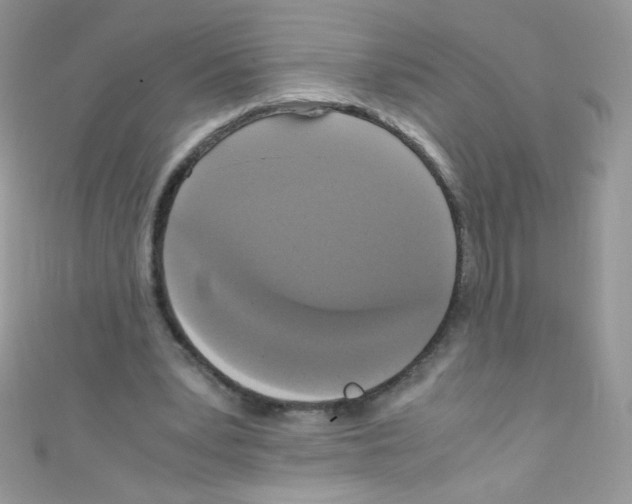 X0000110730391200907241231