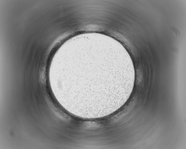 X0000110730392200907241231
