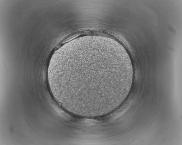 X0000110730393200907241231