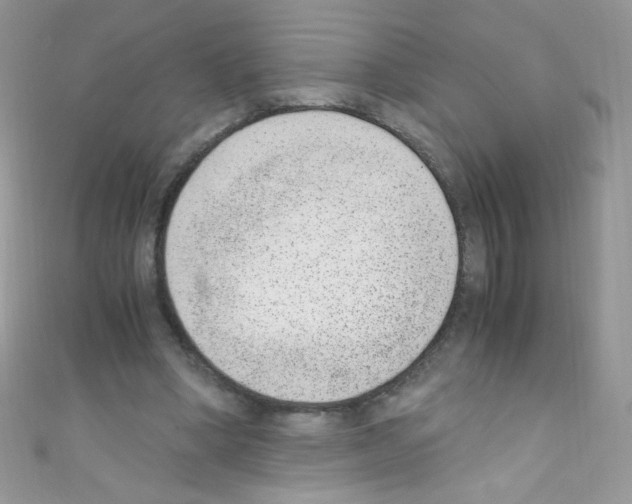 X0000110730394200907241231