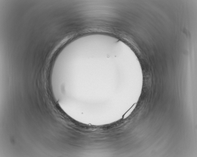 X0000110730395200907241231