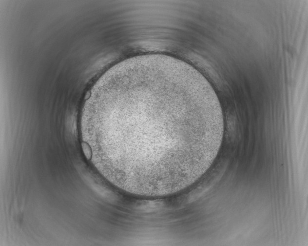 X0000110730398200907241231