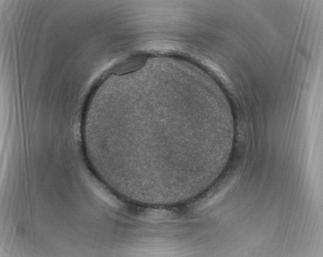 X0000110730399200907241231