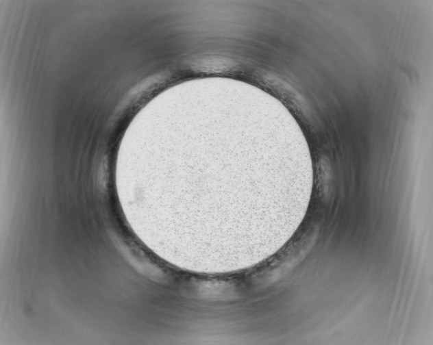 X0000110730400200907241231