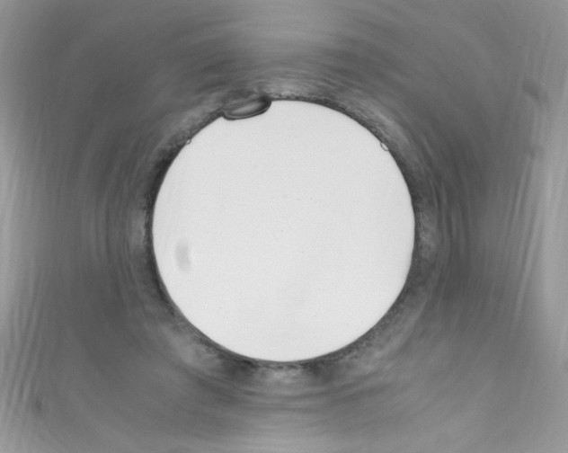 X0000110730401200907241231