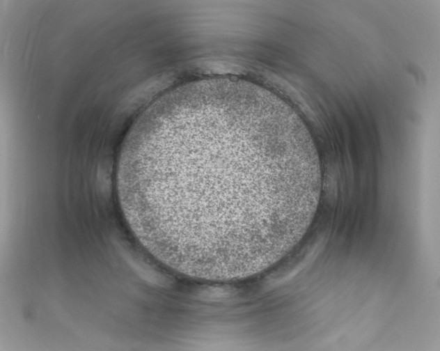 X0000110730402200907241231