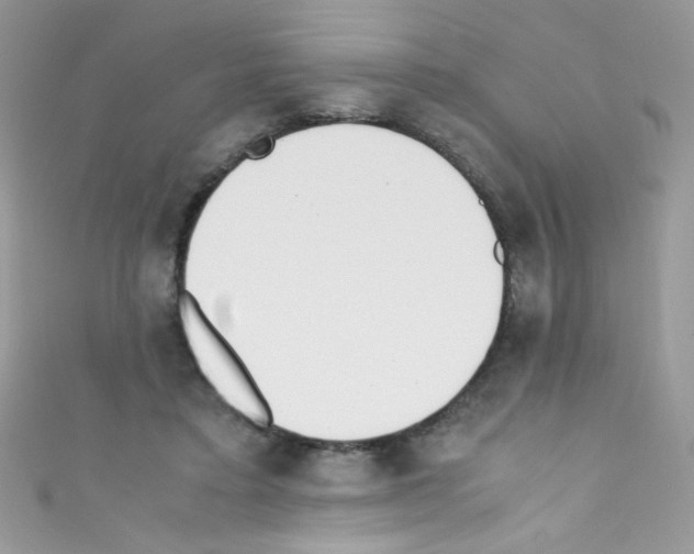X0000110730403200907241231