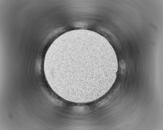 X0000110730404200907241231